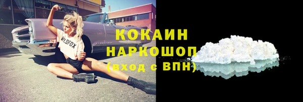 дживик Няндома