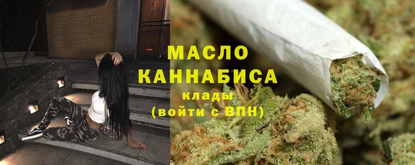дживик Няндома